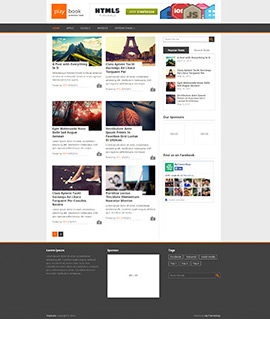 PlayBook-270x343 wordpress themes free