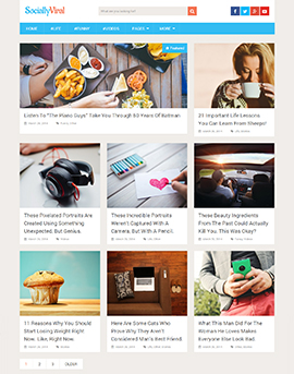 SociallyViral Free-270x343 wordpress themes free