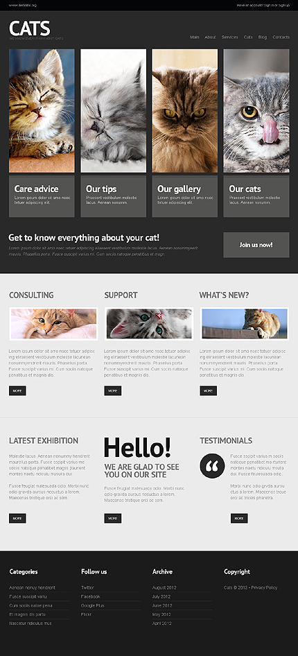  Cat WordPress Theme