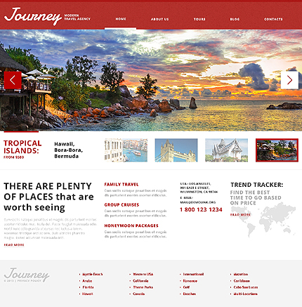Picturesque Travel Agency WordPress Theme