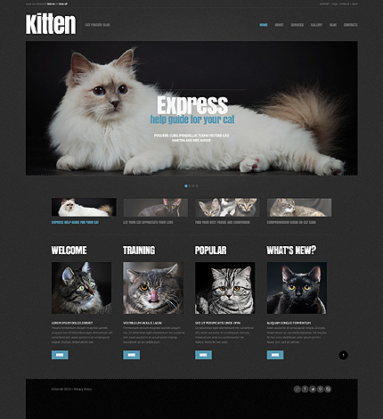  Cat Responsive WordPress Theme