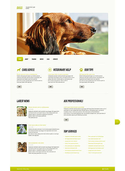  Dog Responsive WordPress Theme honden website template