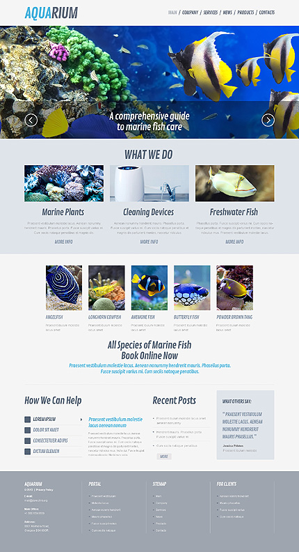  Fish Responsive WordPress Theme