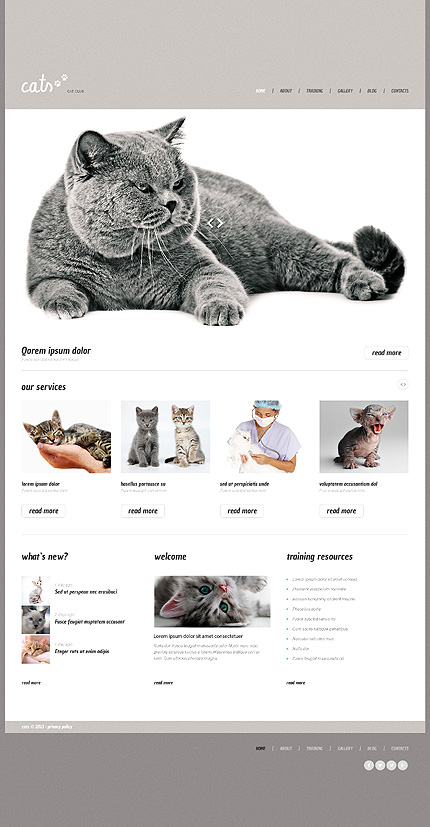  Cat Responsive WordPress Theme