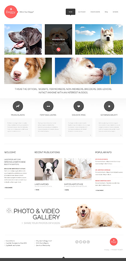  Dog Responsive WordPress Theme honden website template