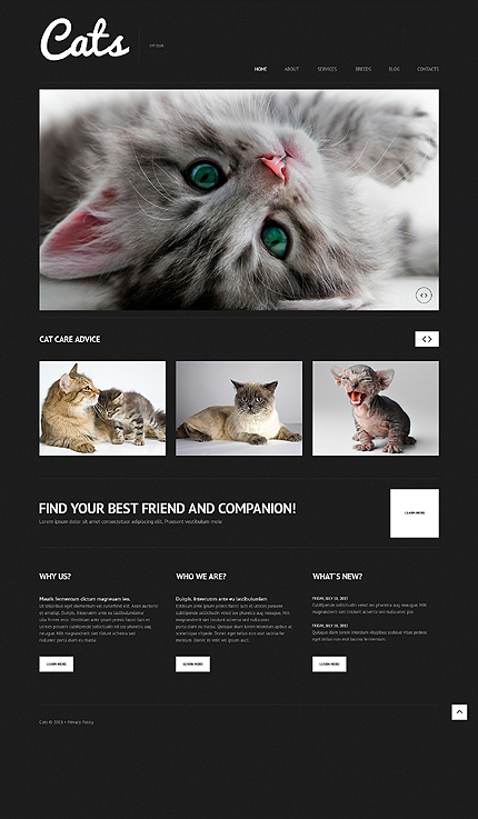  Cat Responsive WordPress Theme