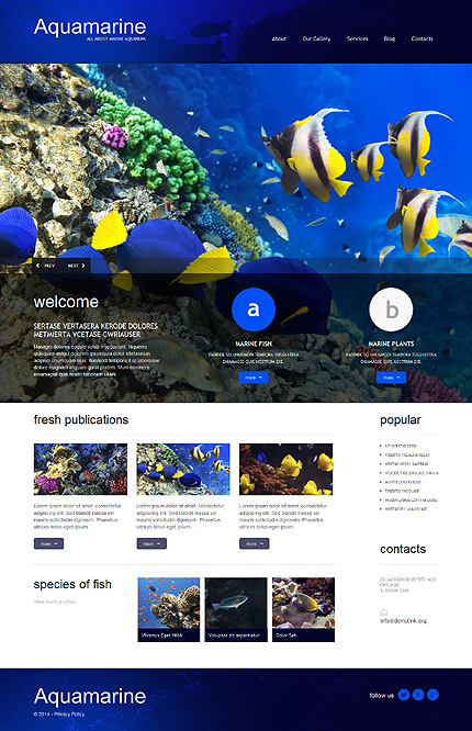  Fish Responsive WordPress Theme