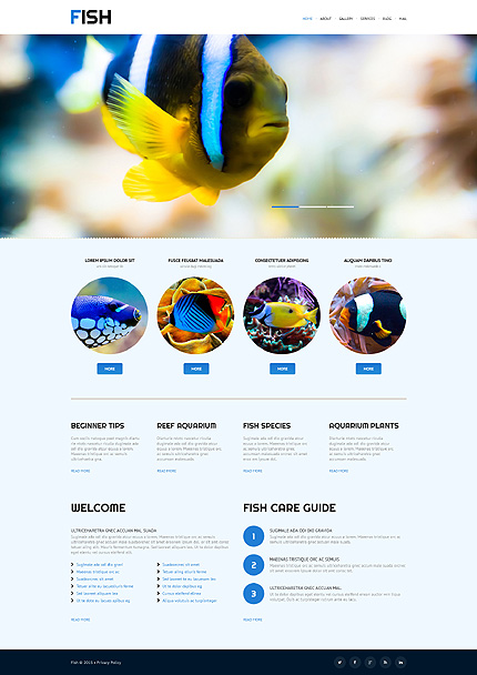  Vis WordPress Theme Huisdier WordPress Template