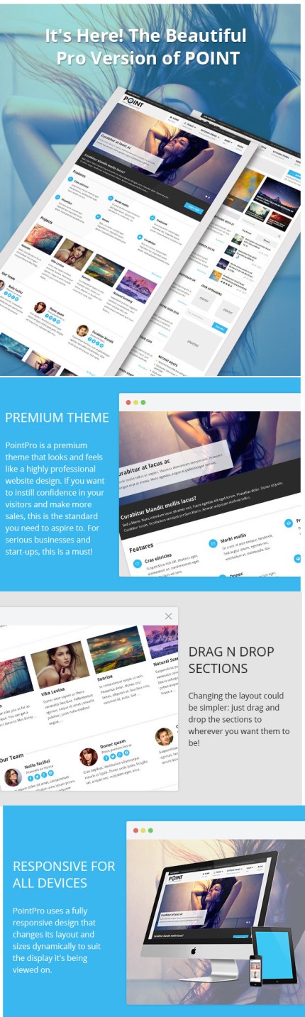 pointpro wordpress website template