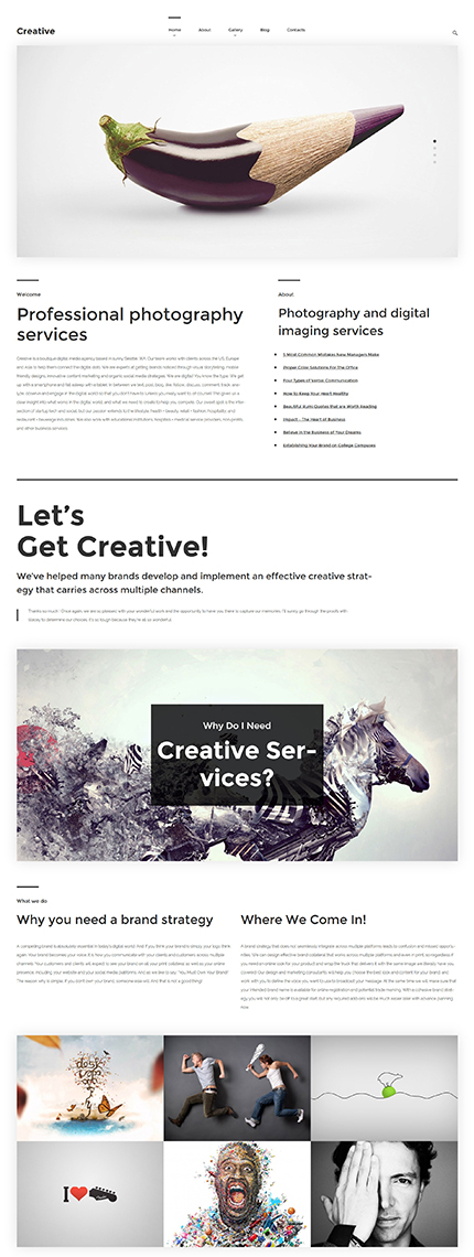 Art Photography WordPress Theme