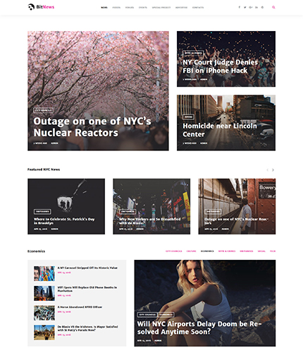 Magazine WordPress Theme wordpress website template