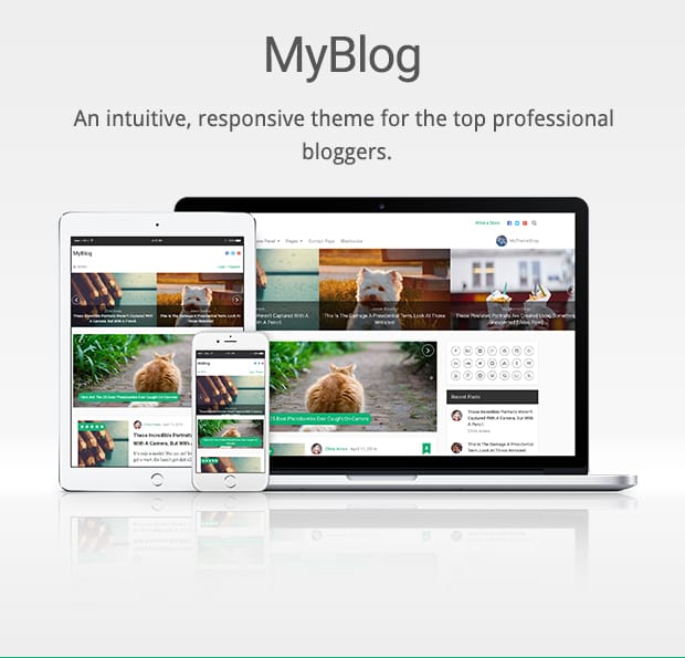 blog website template