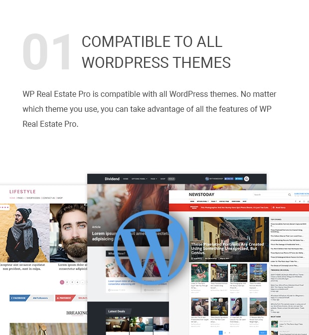 Compatible With All WordPress Themes vastgoed