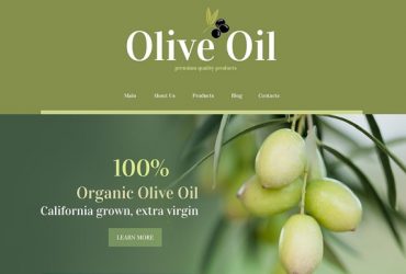 Succesvolle WordPress Templates van 2016 Succesvolle WordPress Templates van 2016