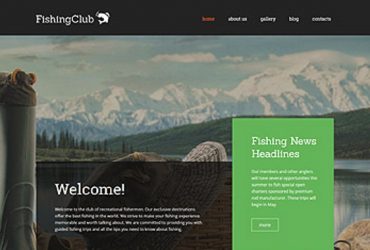 WP Themes: Dertig Voorbeelden