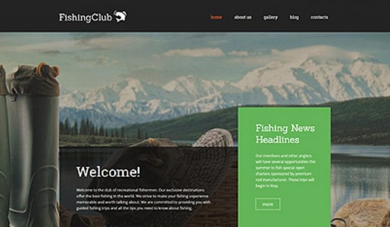 WP Themes: Dertig Voorbeelden